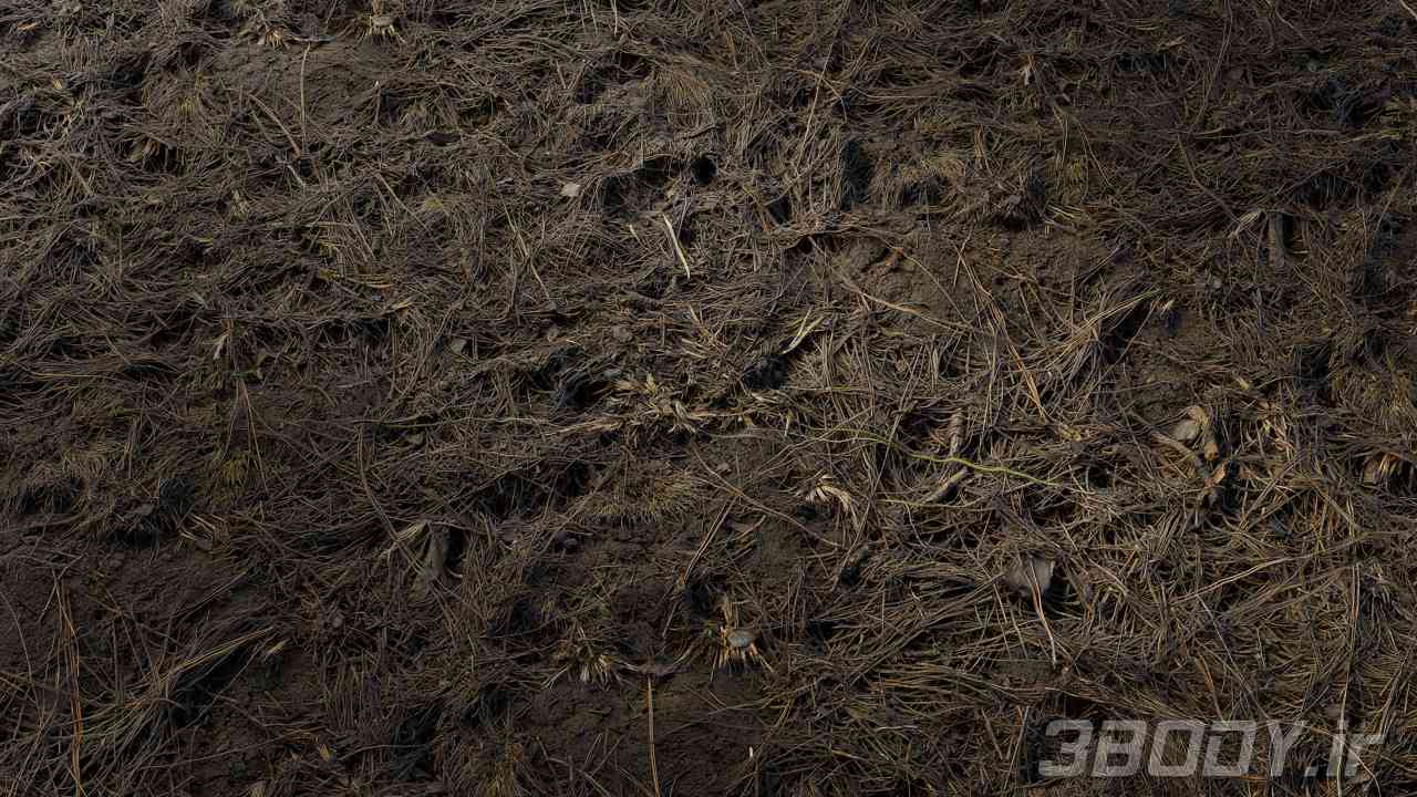 متریال چمن خشک شده dried grass عکس 1